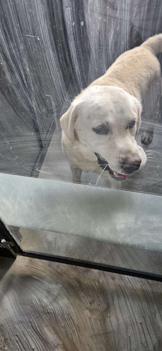 둔촌동물병원_411324202500742